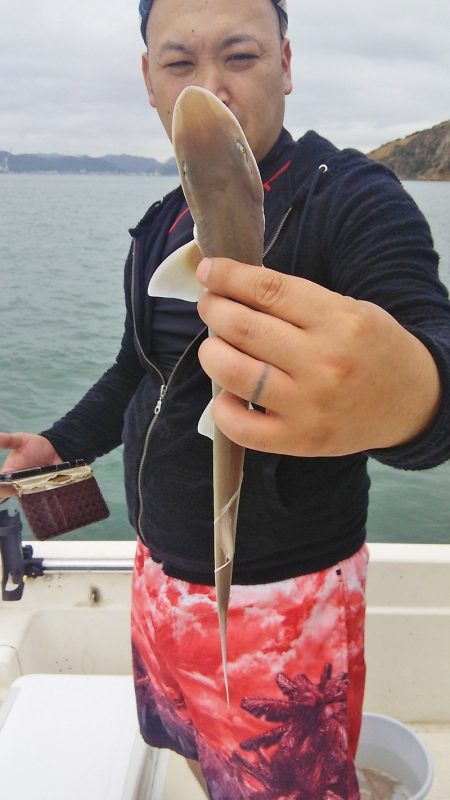 マリンガイド福丸 釣果