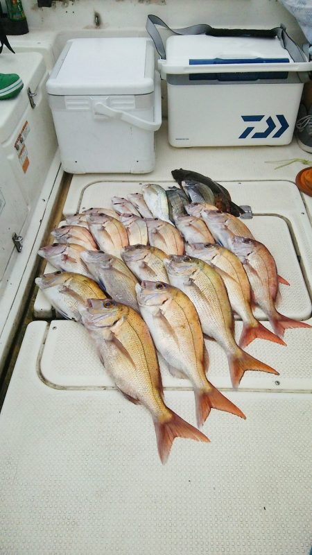 マリンガイド福丸 釣果