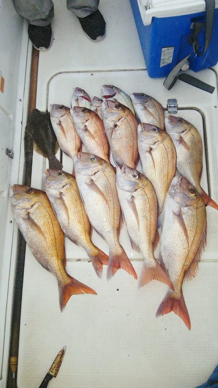 マリンガイド福丸 釣果