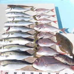 水天丸 釣果