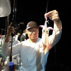 South Current 釣果