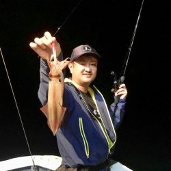 South Current 釣果