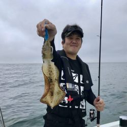 South Current 釣果