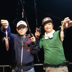 South Current 釣果