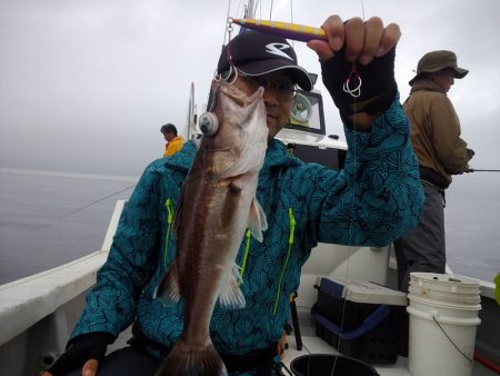 ひな丸 釣果