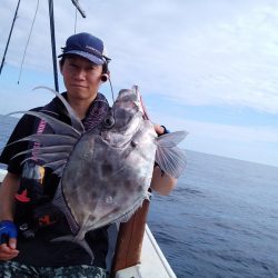 ひな丸 釣果