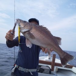 ひな丸 釣果