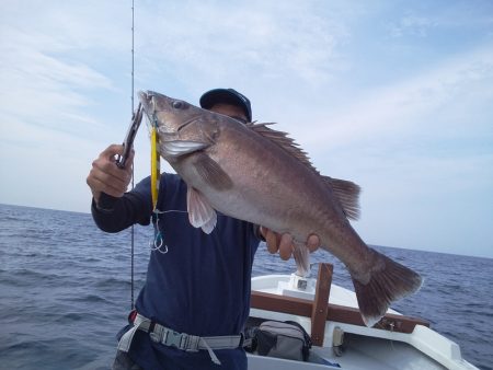 ひな丸 釣果