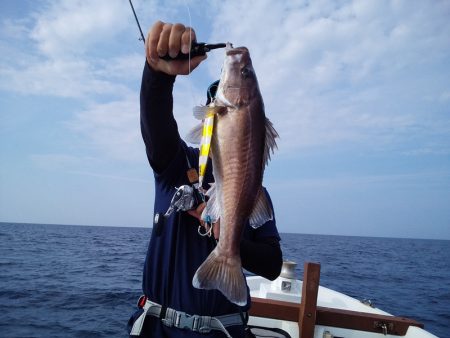 ひな丸 釣果