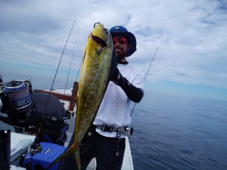 ひな丸 釣果
