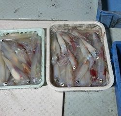 第二清洋丸 釣果