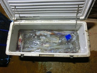 第二清洋丸 釣果