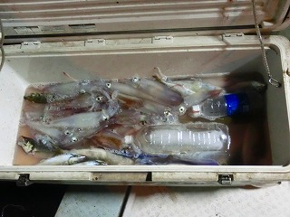 第二清洋丸 釣果