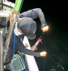 第二清洋丸 釣果