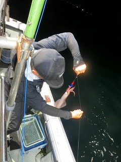 第二清洋丸 釣果