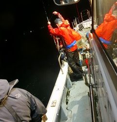 第二清洋丸 釣果