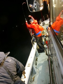 第二清洋丸 釣果