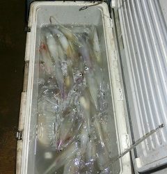 第二清洋丸 釣果