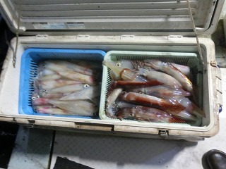 第二清洋丸 釣果