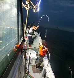 第二清洋丸 釣果