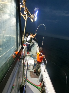 第二清洋丸 釣果