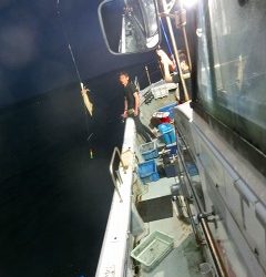 第二清洋丸 釣果