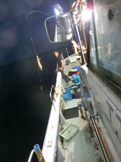 第二清洋丸 釣果