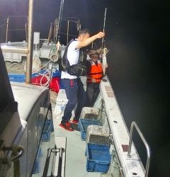 第二清洋丸 釣果