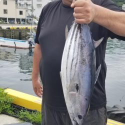ゆたか丸 釣果