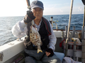 釣船 キティ 釣果