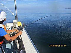 遊漁船 未紗奈 釣果