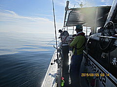 遊漁船 未紗奈 釣果