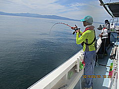 遊漁船 未紗奈 釣果