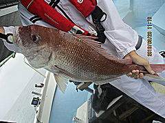 遊漁船 未紗奈 釣果