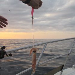 ジギング船 BLUEWATER 釣果