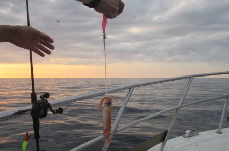ジギング船 BLUEWATER 釣果