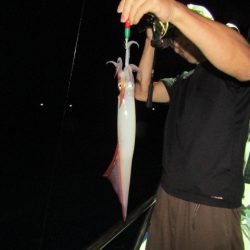 ジギング船 BLUEWATER 釣果