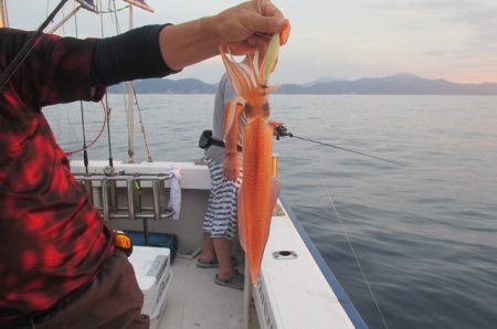 ジギング船 BLUEWATER 釣果