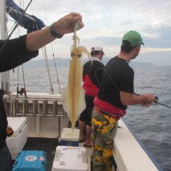 ジギング船 BLUEWATER 釣果