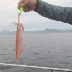 ジギング船 BLUEWATER 釣果