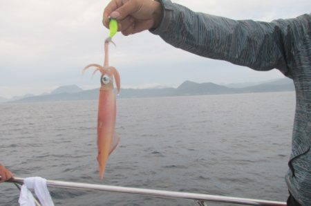 ジギング船 BLUEWATER 釣果