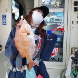 遊漁船 ニライカナイ 釣果