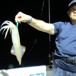 ジギング船 BLUEWATER 釣果