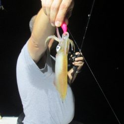 ジギング船 BLUEWATER 釣果