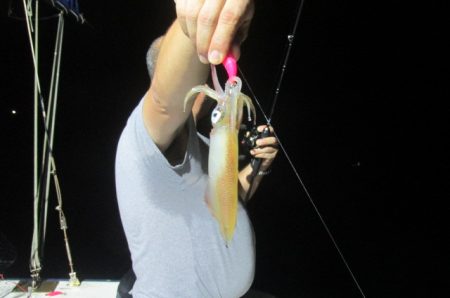 ジギング船 BLUEWATER 釣果