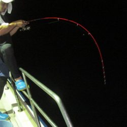 ジギング船 BLUEWATER 釣果