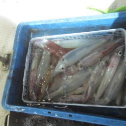 ジギング船 BLUEWATER 釣果