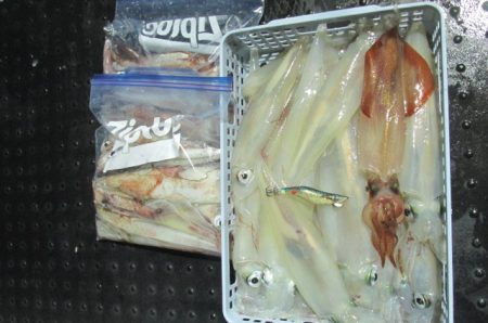 ジギング船 BLUEWATER 釣果