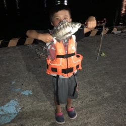 お盆の福井でサビキでアジとちょい投げでキスの釣果