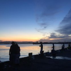 ソウダガツオ狙い